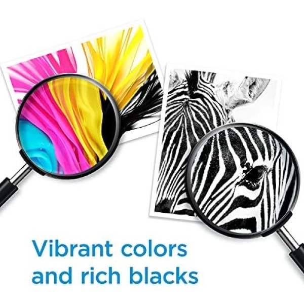 HP 61 Black/Tri-color Ink (2 Count - pack) | Works with DeskJet - Image 4