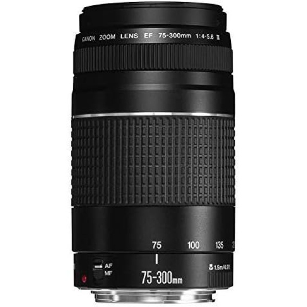 Canon EF 75-300mm f/4-5.6 III Telephoto Zoom Lens for Canon SLR Cameras - Image 5
