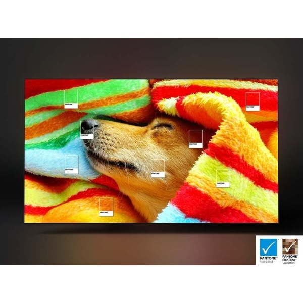 SAMSUNG 55-Inch Class OLED 4K S90C Series Quantum HDR, Object Tracking Sound - Image 9